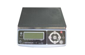 ELECTRIC SCALE WX
